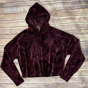 Balance & Harmony Velour Hoodie